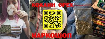 спиды Новозыбков