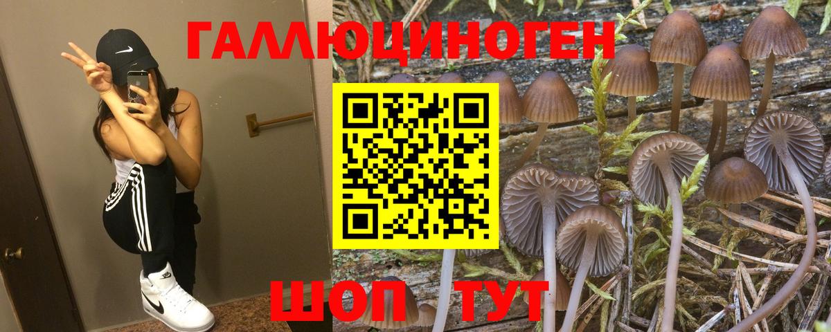 Галлюциногенные грибы мицелий Кореновск